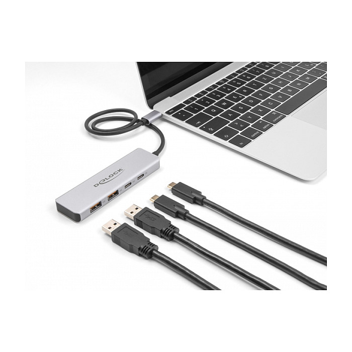 USB-C Hub DELOCK 64230 (4-portni, 2x USB-A, 2x USB-C, 10Gbps, 35cm)