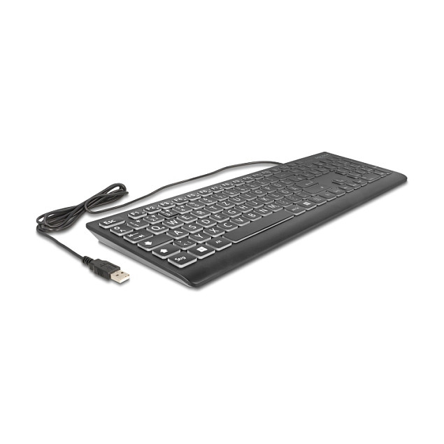 Tipkovnica DELOCK USB s XXL slovima i osvjetljenjem (1.5m, crna)-1