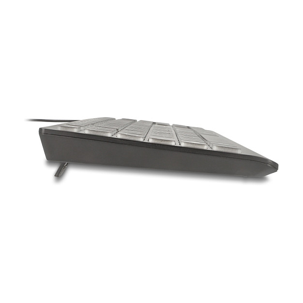 Tipkovnica DELOCK USB s XXL slovima i osvjetljenjem (1.5m, crna)-2