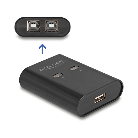 USB 2.0 Switch DELOCK 11503 (2 računala na 1 uređaj)-1