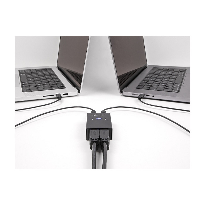 USB 2.0 Switch DELOCK za 2 računala i 4 uređaja (metalno kućište)-2
