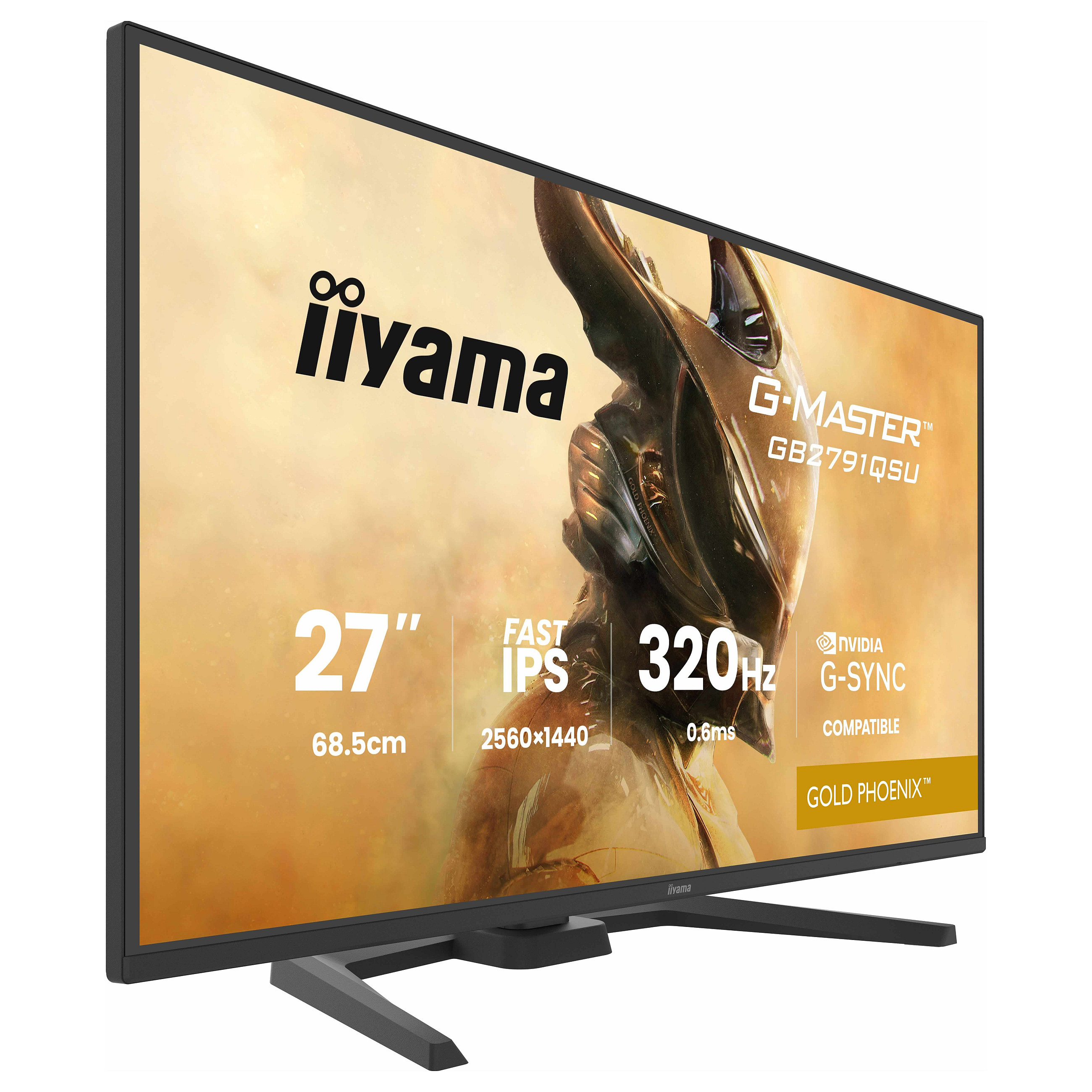 Gaming monitor IIYAMA G-MASTER Gold Phoenix GB2791QSU-B1 (27", WQHD, Fast IPS, 240Hz, 1ms)-13