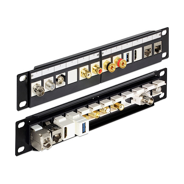 Patch panel DELOCK 10" 12 portova Cat.6A (1U, metalno kućište)-2