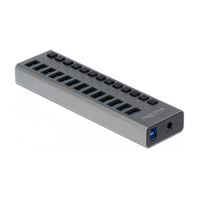 USB Hub DELOCK 63738 (13 portova, USB 5 Gbps, individualni prekidači, metalno kućište)