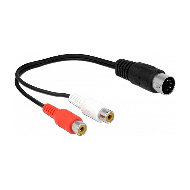 Audio adapter kabel DELOCK 5-pinski DIN muški na 2x RCA (Cinch) ženski, 20 cm (85835)-0