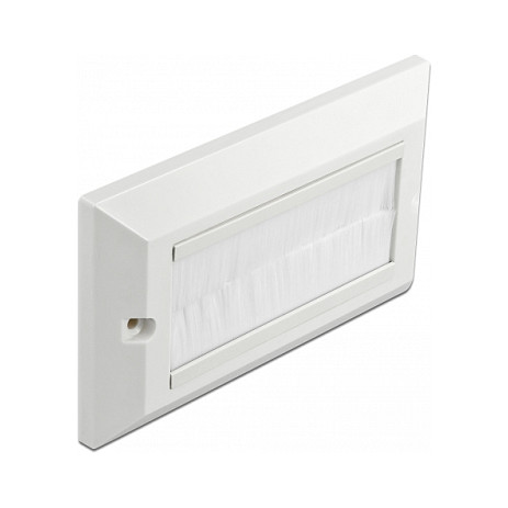 Pokrovna ploča za kabele DELOCK 66496 (146 x 86 mm, s bijelim četkicama, za ugradbenu kutiju)-0
