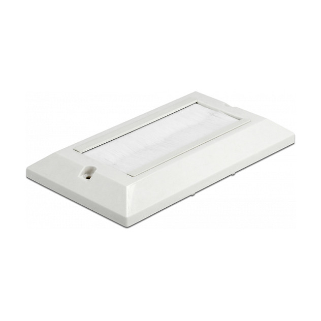 Pokrovna ploča za kabele DELOCK 66496 (146 x 86 mm, s bijelim četkicama, za ugradbenu kutiju)-1