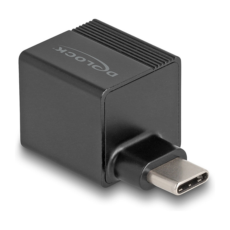 USB-C na LAN adapter DELOCK 66462 (Gigabit Ethernet, 10/100/1000 Mbps)-0