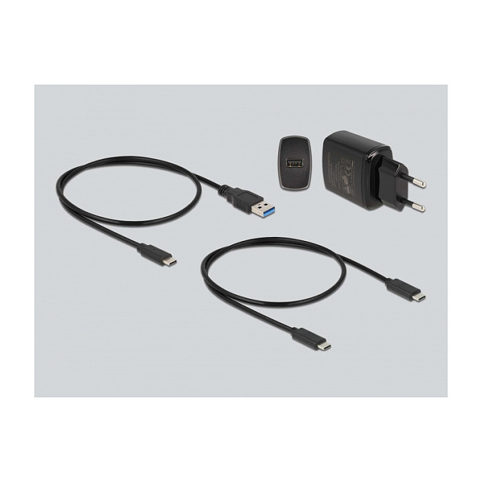 Docking stanica za SSD DELOCK 64138 (2x M.2 NVMe, USB 3.2 Gen 2, Offline kloniranje)-3