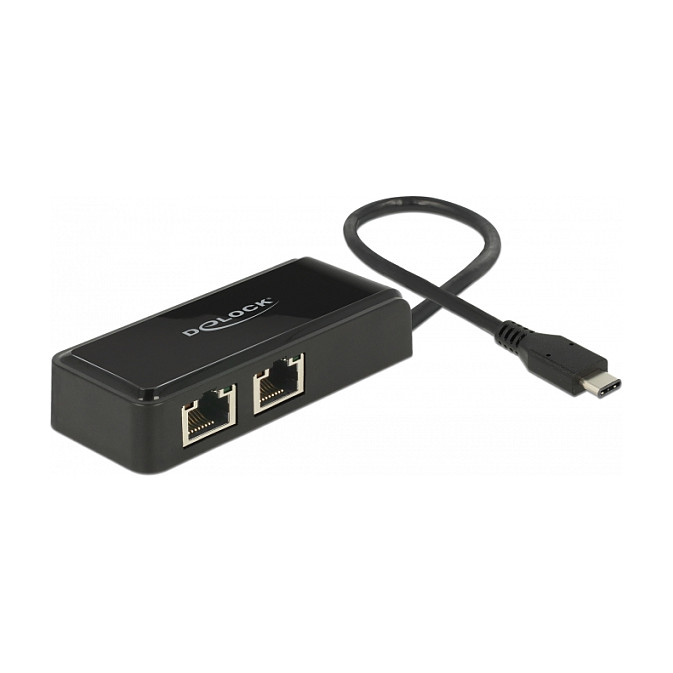 USB-C mrežni adapter DELOCK (2x Gigabit LAN, USB 3.2 Gen 1)-1