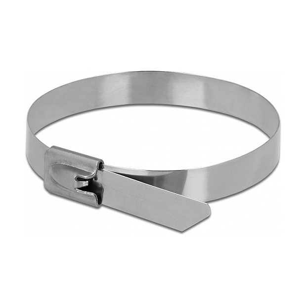 Vezice inox DELOCK 300 x 7.9 mm 10 komada (135 kg)-1