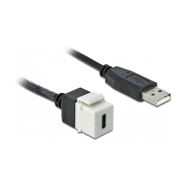 Keystone modul DELOCK 86382 (USB-C Ž na USB-A M, 25 cm kabel)-1