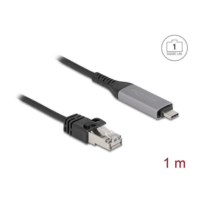 USB-C na LAN mrežni adapter DELOCK 60759 (Gigabit Ethernet, 1 m)-1