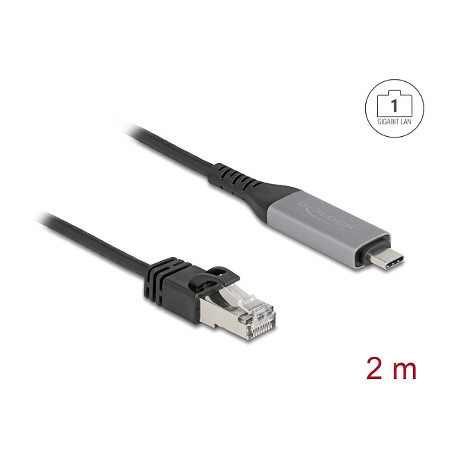 Mrežni adapter DELOCK USB-C na RJ45 Gigabit Ethernet kabel 2m (1000 Mbps)-1