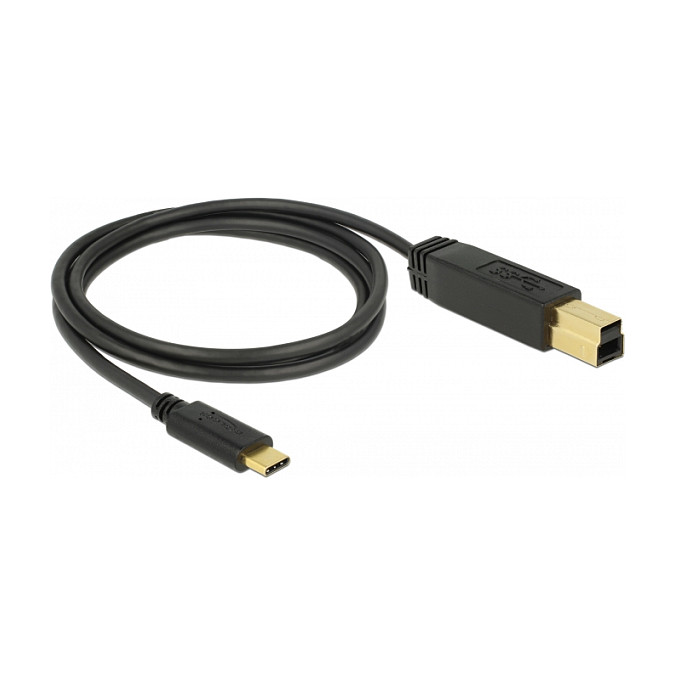 USB kabel DELOCK USB-C na USB-B (10 Gbps, 1 m)-0