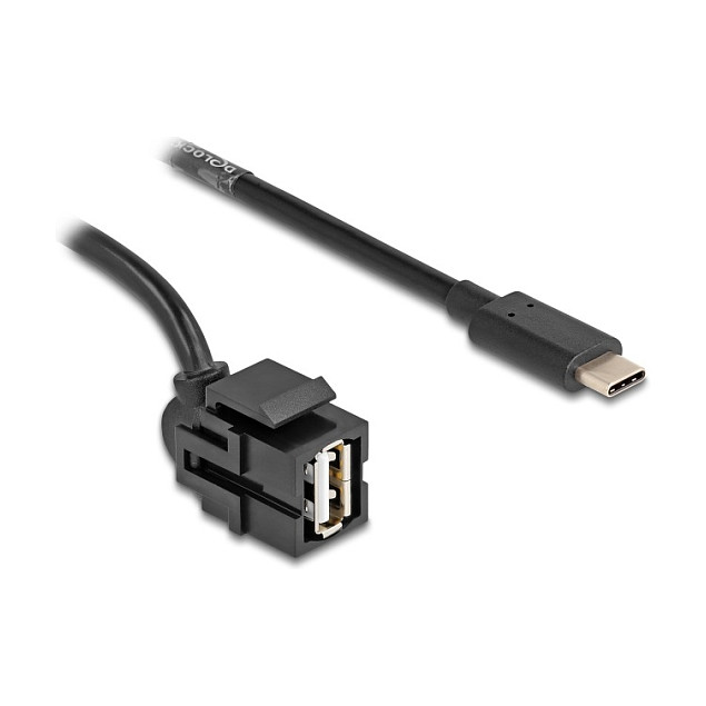 Keystone modul DELOCK 88056 (USB 2.0 A Ž na USB-C M 250°, 0.5m kabel)-0