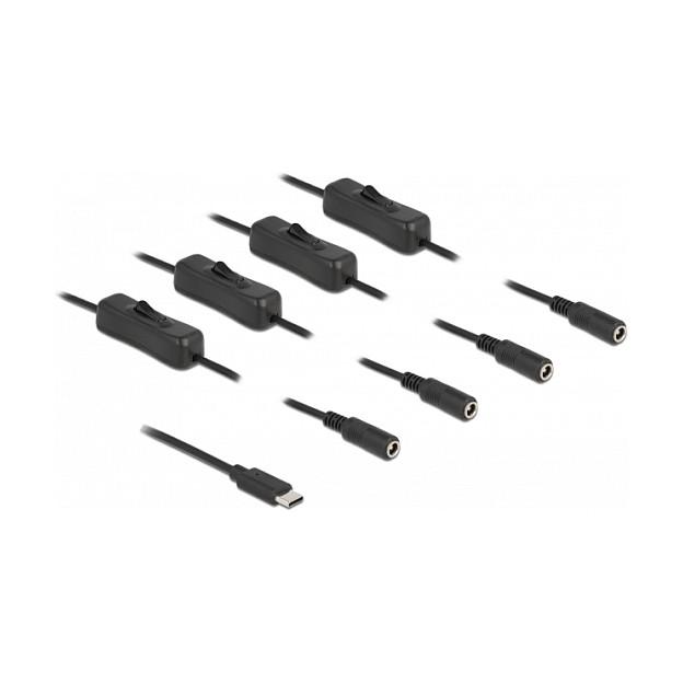 USB-C kabel za napajanje DELOCK na 4x DC 5.5 x 2.1 mm (s prekidačem, 1 m, 5V / 3A)-0