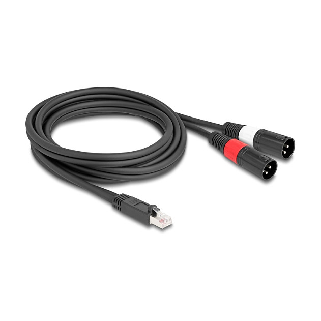 DELOCK Adapter kabel RJ45 na 2x XLR 3-pinski (M/M), 2m, za DMX