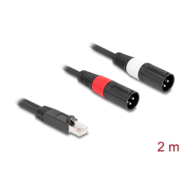 DELOCK Adapter kabel RJ45 na 2x XLR 3-pinski (M/M), 2m, za DMX-1