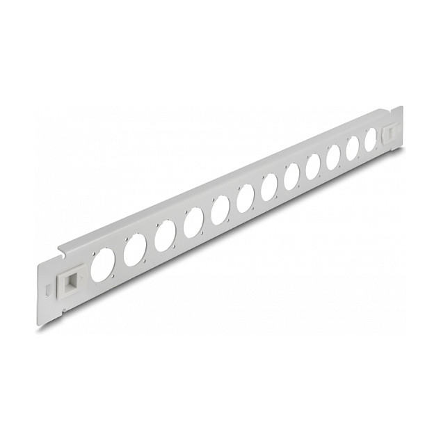 Patch panel DELOCK 19″ D-Type 12 Port (montaža bez alata, siva boja)