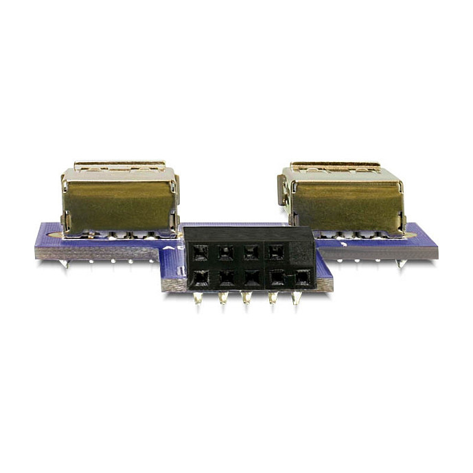 Interni USB 2.0 adapter DELOCK 65459 (Pin Header na 2x USB-A)-1
