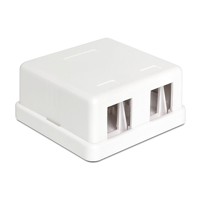 Keystone kućište za DIN šinu DELOCK 86207 (2 porta, 35 mm)-0