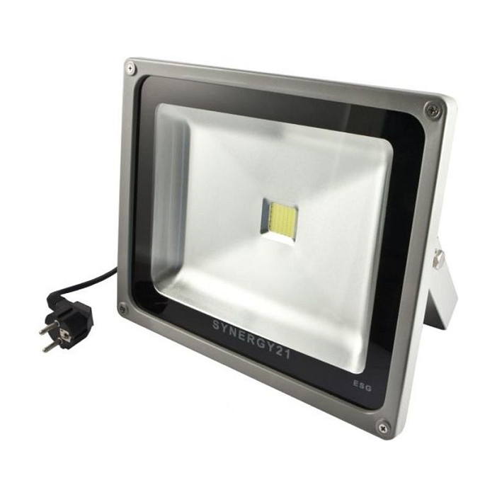 LED Reflektor SYNERGY 21 Outdoor Spot (30W, 2700 lm, 6500K, IP65)