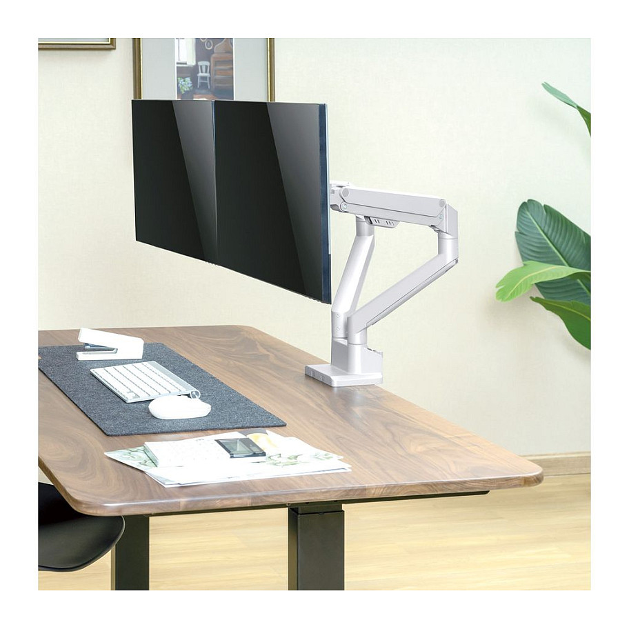 Stolni nosač za 2 monitora ROLINE 17.03.1133 (17"-32", do 2x 9 kg, plinska opruga, VESA)-10