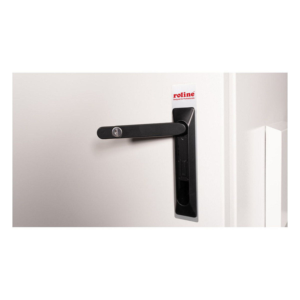 Mrežni ormar ROLINE 19" Pro 9U (600x600mm, IP55, vanjski, sivi)-5