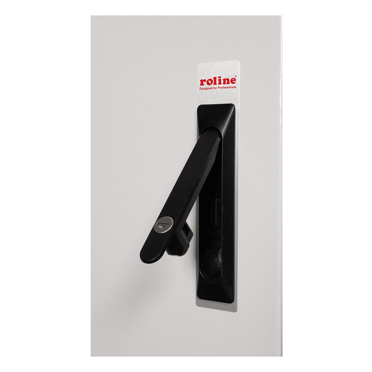 Mrežni ormar ROLINE 19" Pro 20U (600x600mm, IP55, vanjski) sivi-2