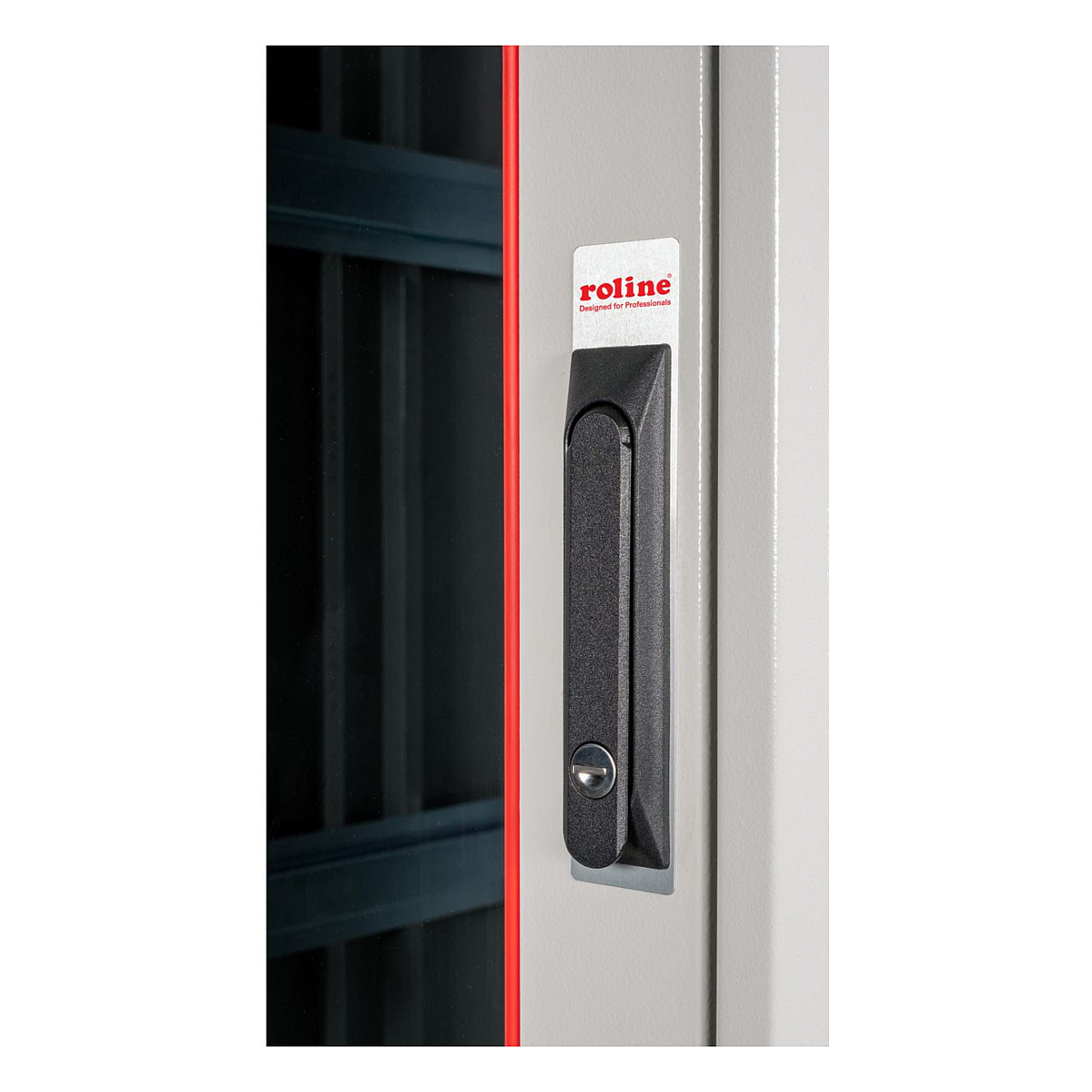 Mrežni ormar ROLINE Pro 42U (800x800mm, staklena vrata, sivi)-1