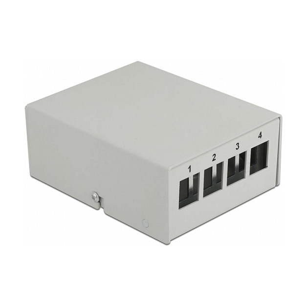 Mrežni patch panel DELOCK Keystone 4 Port (Zidna/stolna montaža, metalno kućište)