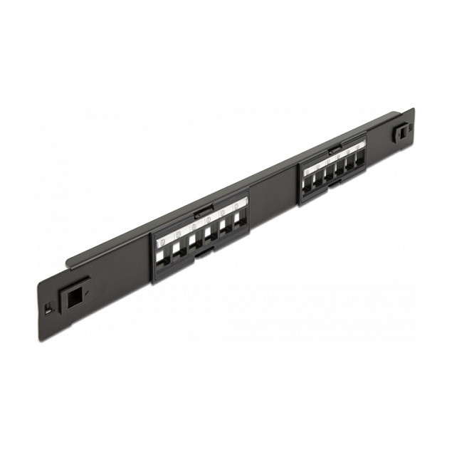 Mrežni patch panel DELOCK 19″ Keystone 12 Port (1U, montaža bez alata)
