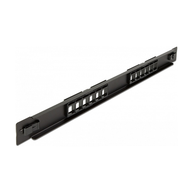 Mrežni patch panel DELOCK 19″ Keystone 12 Port (1U, montaža bez alata)-1