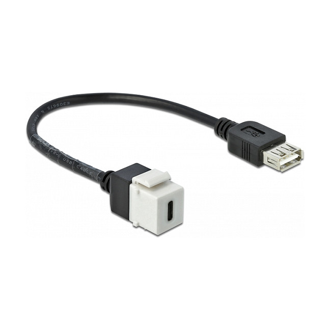 Keystone modul DELOCK 86391 (USB-C na USB-A, 25 cm kabel)-0