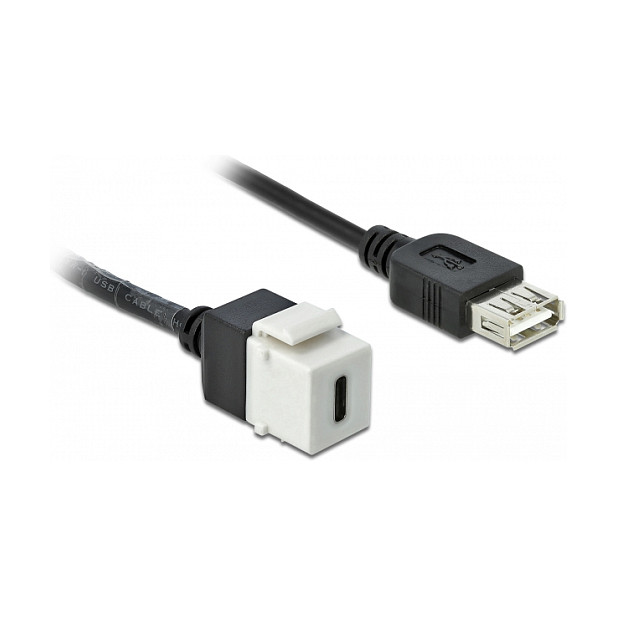 Keystone modul DELOCK 86391 (USB-C na USB-A, 25 cm kabel)-1