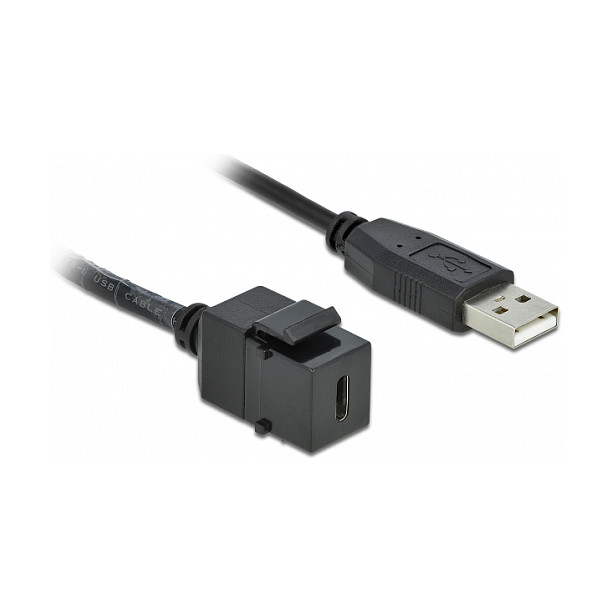 Keystone Modul DELOCK 86378 (USB-C Ž na USB-A M 2.0, s kabelom)-1