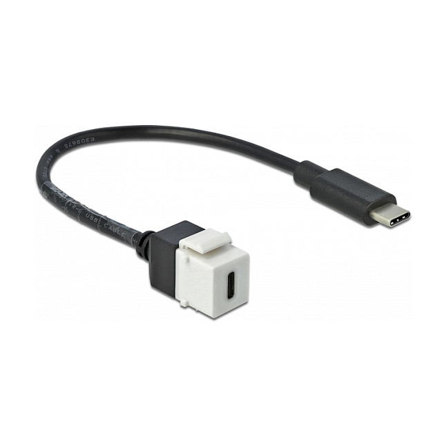 Keystone modul DELOCK 86399 (USB-C Ž na USB-C M, 5 Gbps, 25 cm kabel)