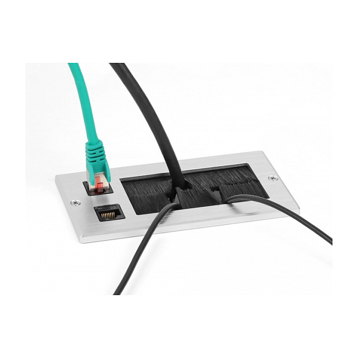 Uvodnica za kabele DELOCK 66896 (s četkom, 2x RJ45 Cat.6 Keystone, aluminij)-2