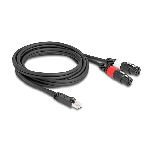 Adapter kabel DELOCK RJ45 na 2x XLR 3-pinski ženski, 2m