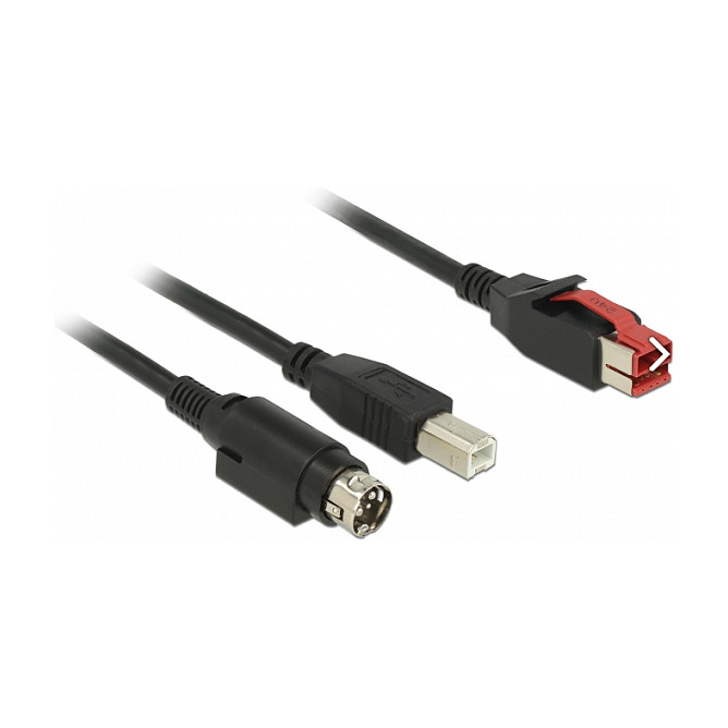 Kabel DELOCK PoweredUSB 24V na USB-B + Hosiden 3-pin (2 m, za POS pisače i terminale)-0