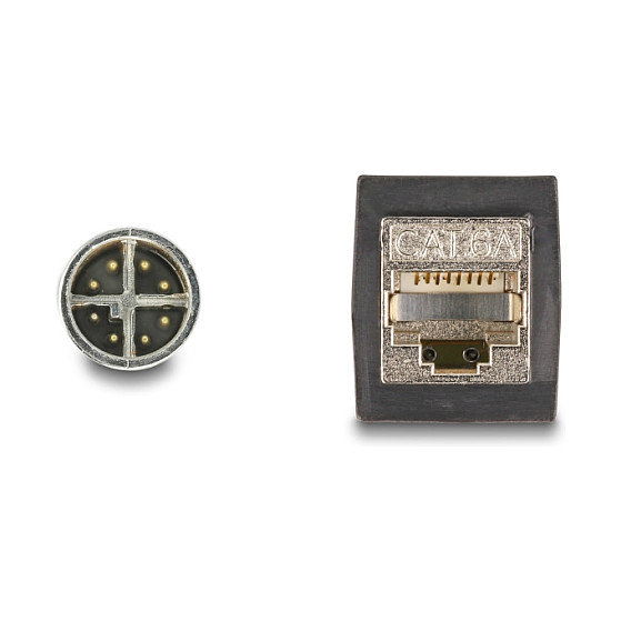 Mrežni kabel DELOCK M12 X-kodirani 8-pinski muški na RJ45 ženski (0.5m, Cat.6A, S/FTP, IP67)-2