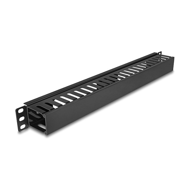 Panel za upravljanje kabelima DELOCK 81555 (19", 1U, 2 otvora, metal/plastika)