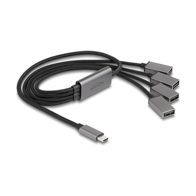 USB Hub DELOCK 4-portni USB 2.0 (USB-C priključak, 60 cm)-0