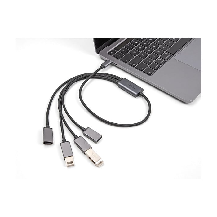 USB Hub DELOCK 4-portni USB 2.0 (USB-C priključak, 60 cm)-1