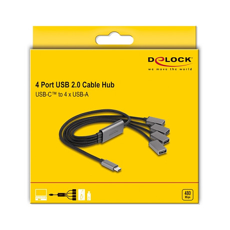 USB Hub DELOCK 4-portni USB 2.0 (USB-C priključak, 60 cm)-2