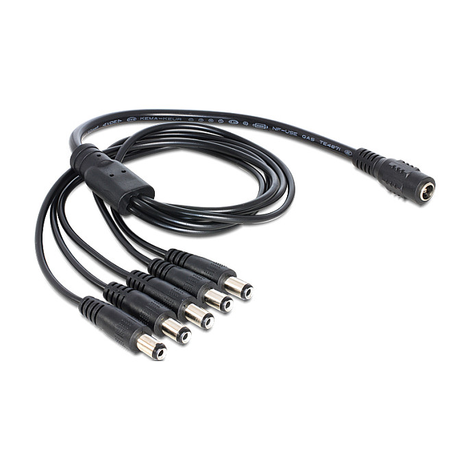 DC razdjelni kabel DELOCK 5.5 x 2.1 mm (1x ženski > 5x muški, 30 cm)-0