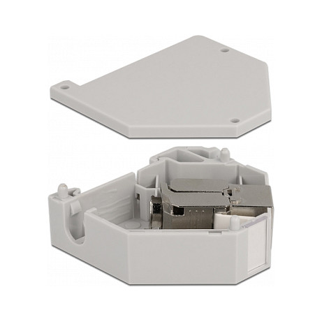 Mrežni adapter za DIN šinu DELOCK 86014 (Keystone RJ45, Cat.6A, LSA)-1