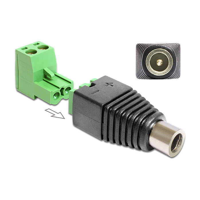 Adapter DELOCK DC 5.5 x 2.1 mm na 2-pinski terminalni blok (65423)-0