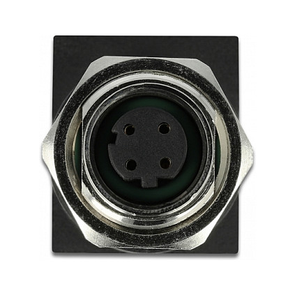 Mrežni adapter DELOCK 66312 M12 D-kodirani na RJ45 (IP67, 4-pinski)-1